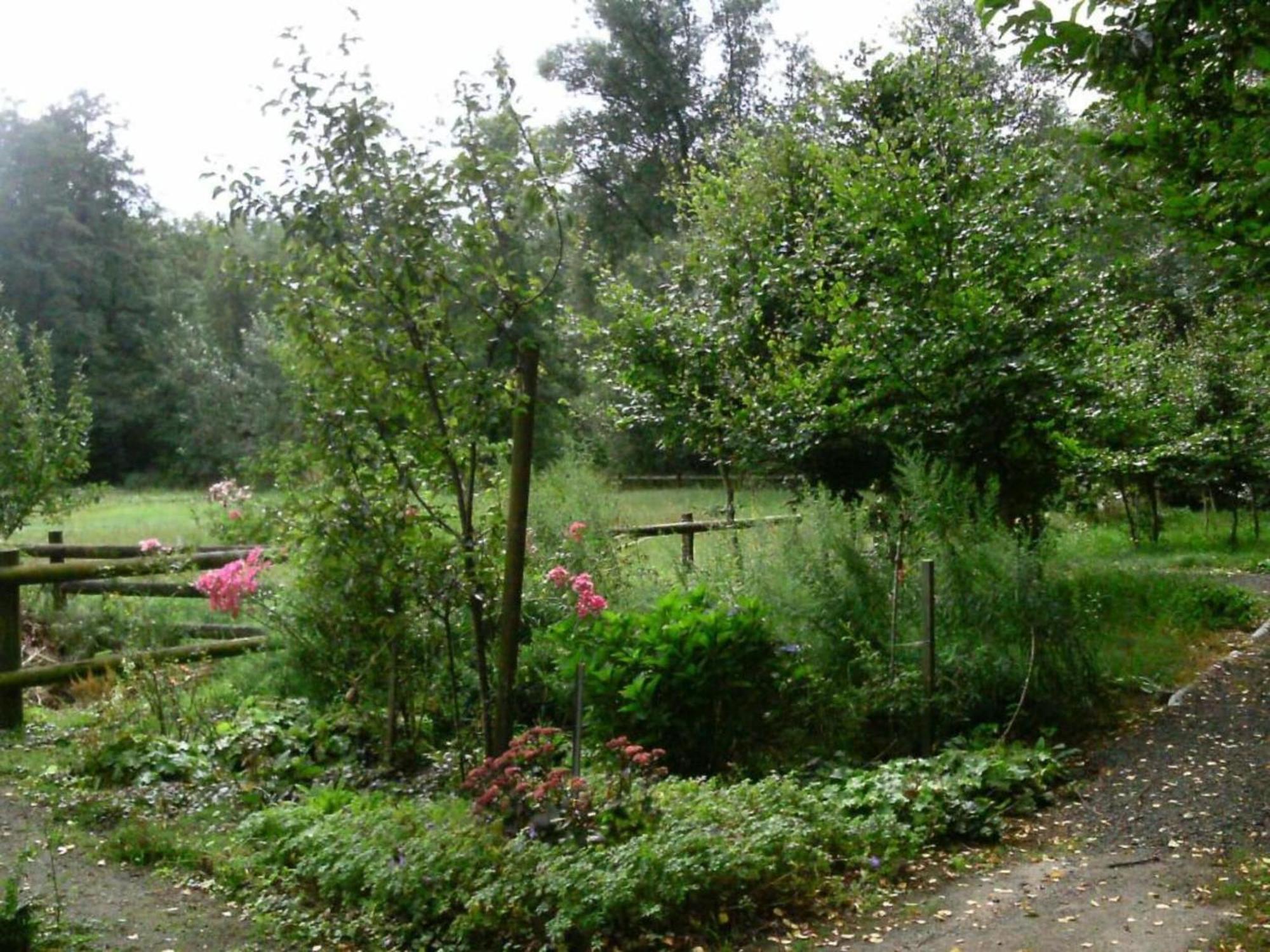 Holiday Home In Wietzendorf In The L Neburg Heath With A View Of The Countryside Exterior photo